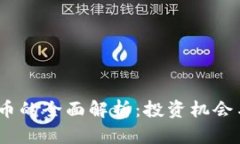   AMA虚拟币的全面解析：投资机会与风险分析