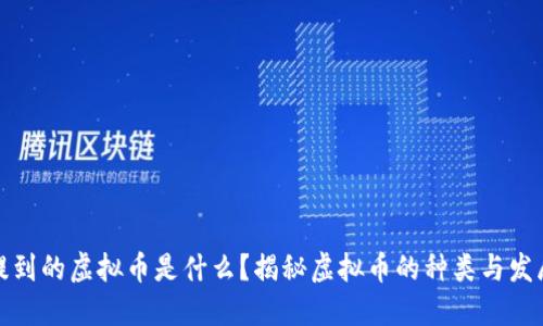 沈腾提到的虚拟币是什么?揭秘虚拟币的种类与发展趋势