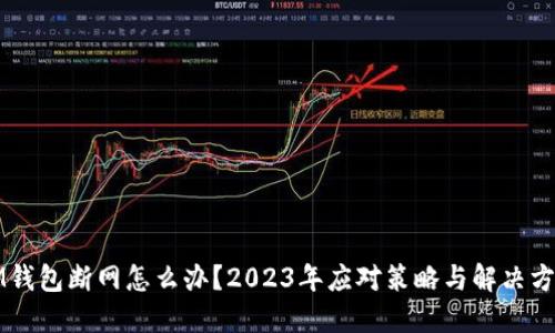 IM钱包断网怎么办?2023年应对策略与解决方法