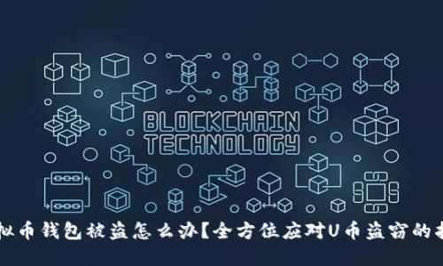 虚拟币钱包被盗怎么办?全方位应对U币盗窃的指南