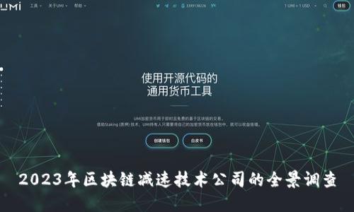 2023年区块链减速技术公司的全景调查