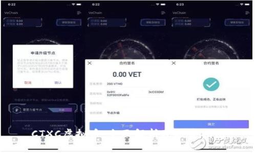 CTXC虚拟币:全面解析及投资指南