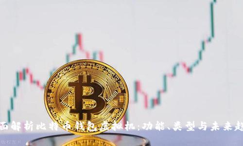 全面解析比特币钱包虚拟机:功能、类型与未来趋势