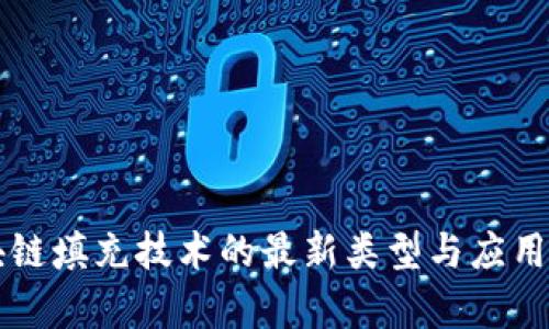 区块链填充技术的最新类型与应用解析