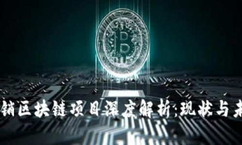 崇义营销区块链项目深度解析:现状与未来展望