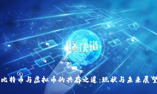 比特币与虚拟币的共存之道:现状与未来展望