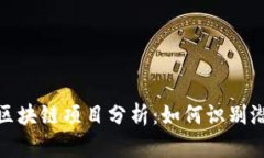 跑路的区块链项目分析：如何识别潜在风险