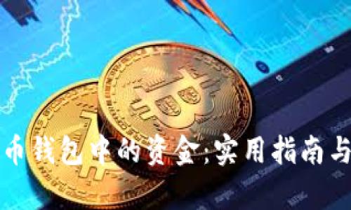 如何追回虚拟币钱包中的资金:实用指南与热门案例分析