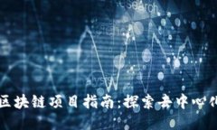 不私募区块链项目指南：探索去中心化的未来