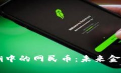 虚拟币热潮中的网民币：未来金融的转折点