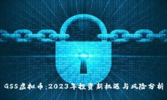 GSS虚拟币：2023年投资新机遇与风险分析