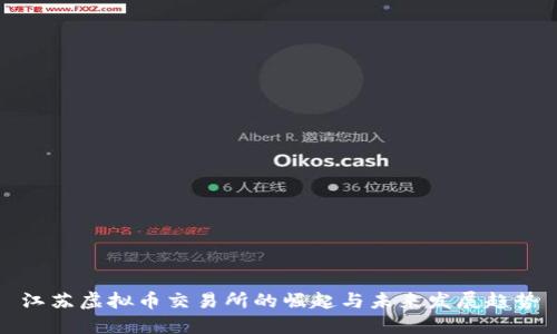 江苏虚拟币交易所的崛起与未来发展趋势