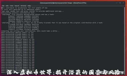 深入虚拟币世界:揭开潜藏的圈套与风险