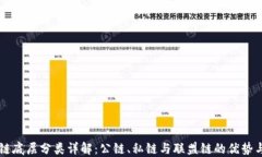 区块链底层分类详解：公链、私链与联盟链的优