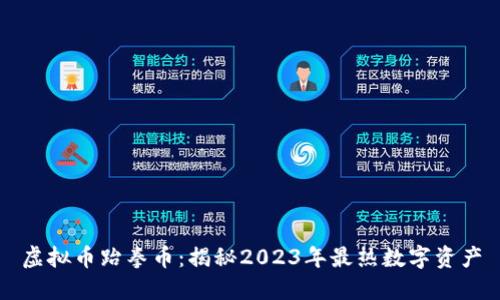 虚拟币跆拳币:揭秘2023年最热数字资产