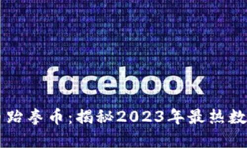 虚拟币跆拳币:揭秘2023年最热数字资产