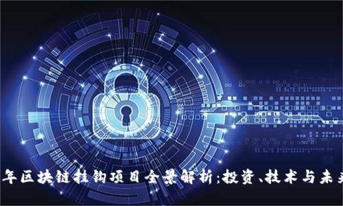 2023年区块链挂钩项目全景解析:投资、技术与未来前景
