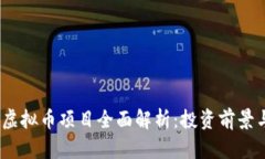 2023年新虚拟币项目全面解析：投资前景与市场趋