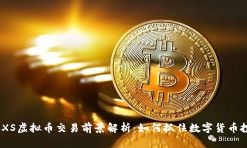 2023年XS虚拟币交易前景解析：如何抓住数字货币投资机会