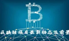 光谷区块链项目最新动态及前景分析