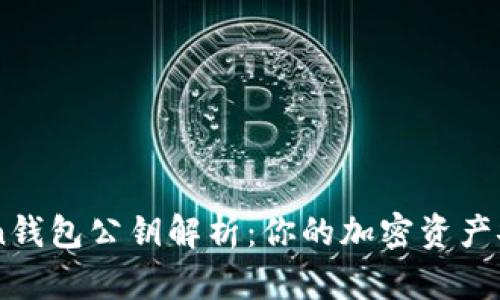 imToken钱包公钥解析:你的加密资产安全助手