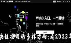   探秘区块链项目的多样方向：看2023年的风口