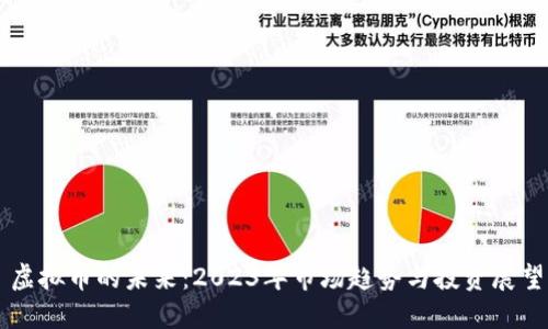 虚拟币的未来:2023年市场趋势与投资展望