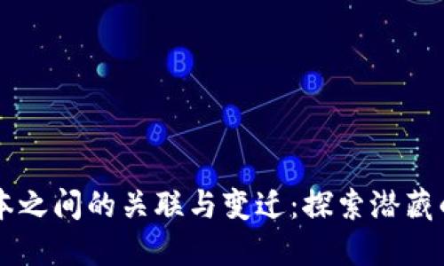 IM钱包版本之间的关联与变迁:探索潜藏的市场套路