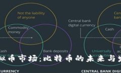 中国虚拟币市场：比特币的未来与发展趋势