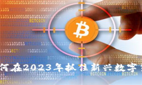 项目虚拟币:如何在2023年抓住新兴数字货币的发展机遇