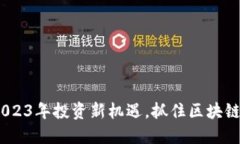 WLD虚拟币：2023年投资新机遇，抓住区块链新时代