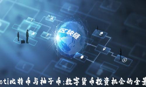 bianoti比特币与柚子币:数字货币投资机会的全景分析