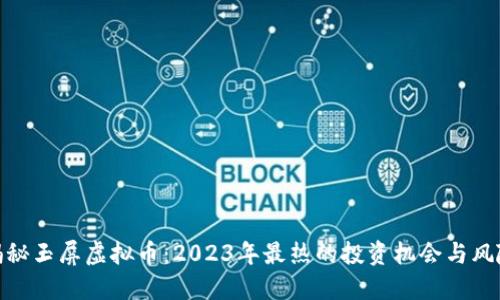 揭秘玉屏虚拟币:2023年最热的投资机会与风险