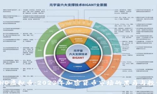 探秘BHD虚拟币：2023年加密货币市场的黑马与投资机遇