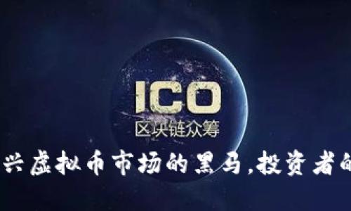 狮子币:新兴虚拟币市场的黑马,投资者的未来选择
