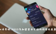 虚拟币牛顿：2023年加密货币市场的福音还是噩梦