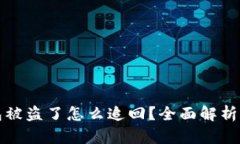 虚拟币钱包被盗了怎么追回？全面解析与实用建