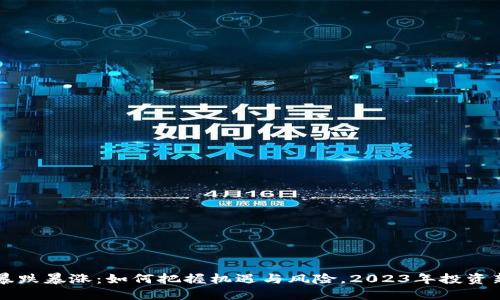 虚拟币暴跌暴涨:如何把握机遇与风险,2023年投资新手指南