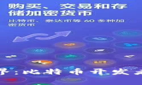 揭秘区块链世界：比特币开发者的故事与热潮