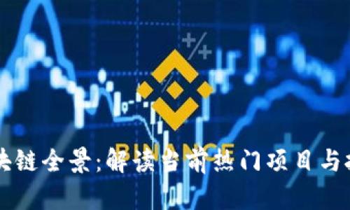 币圈区块链全景：解读当前热门项目与技术趋势