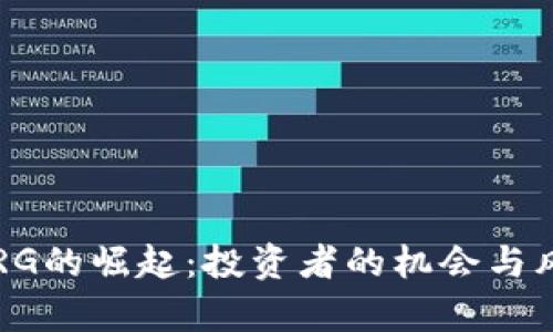 虚拟币RG的崛起:投资者的机会与风险分析