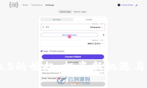 虚拟币GLS的崛起:投资新机遇与风险解析