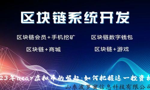 2023年acar虚拟币的崛起:如何把握这一投资机会