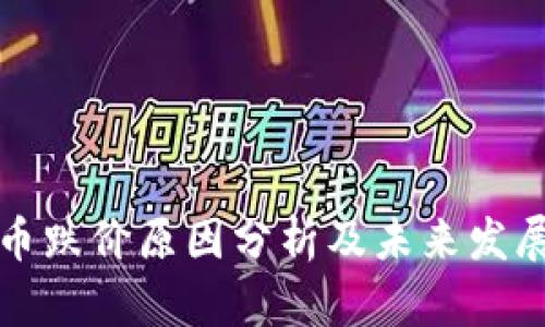 虚拟币跌价原因分析及未来发展趋势