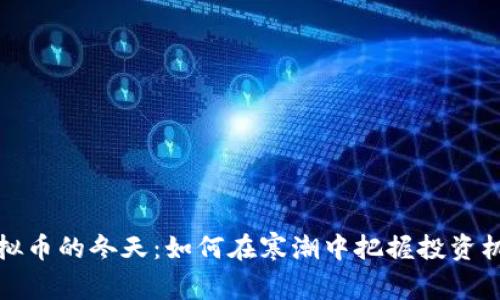 虚拟币的冬天:如何在寒潮中把握投资机会