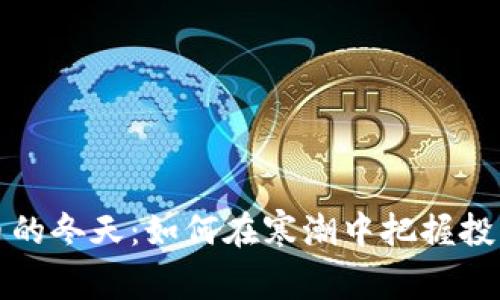虚拟币的冬天:如何在寒潮中把握投资机会