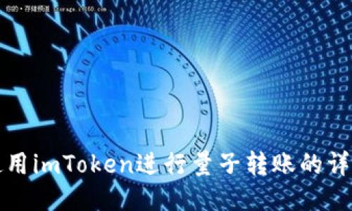 如何使用imToken进行量子转账的详细指南