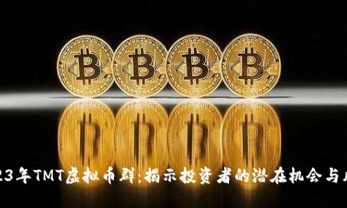 2023年TMT虚拟币群：揭示投资者的潜在机会与风险