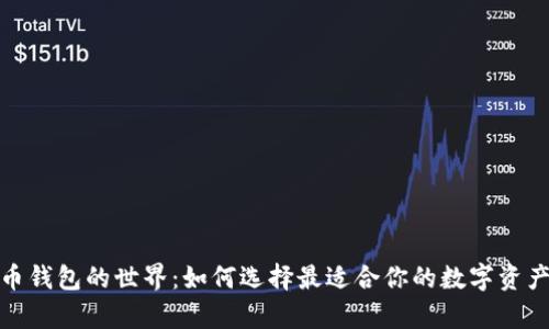 探索虚拟币钱包的世界：如何选择最适合你的数字资产存储方案