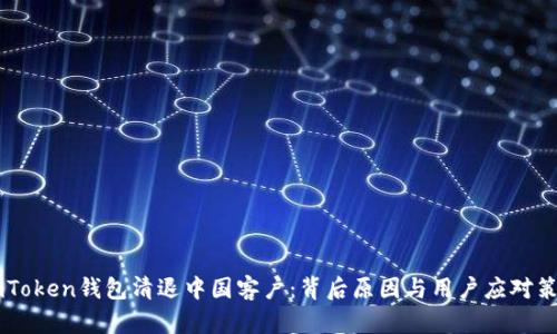 ImToken钱包清退中国客户:背后原因与用户应对策略